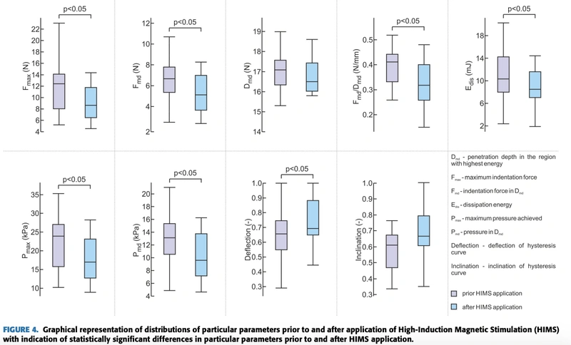 Figure from the IEEE Access publication, research image 3