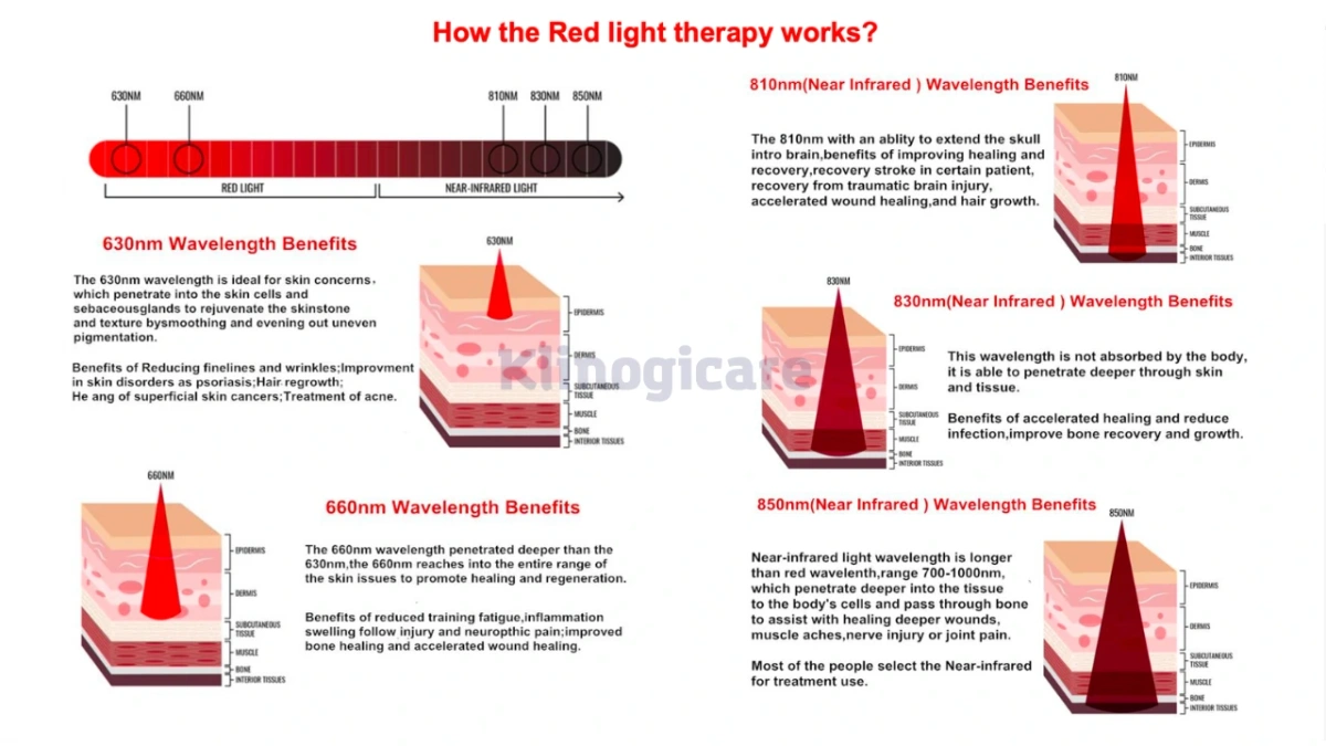 Diagram of the 660 nm and 850 nm wavelengths in red and near-infrared light therapy